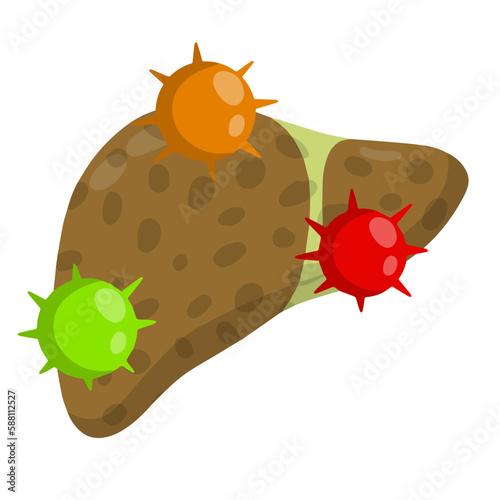 Bad liver. Attack germs and cirrhosis