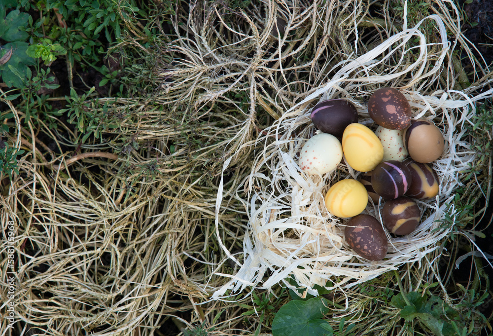Easter chocolate eggs in the nest hidden in the garden. Different colours of the chocolate top view. Easter chocolate eggs in the nest hidden in the garden. Different colours of the chocolate top view.