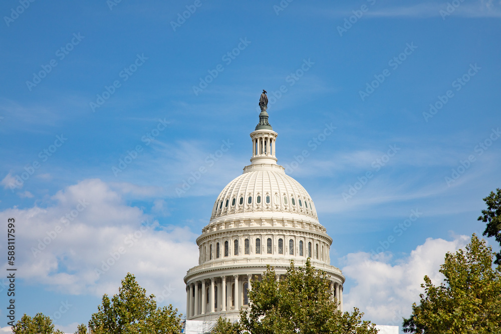 Naklejka premium US Capitol
