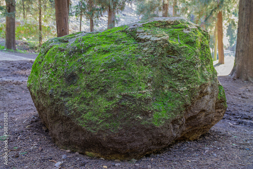 huge stone covered with moss