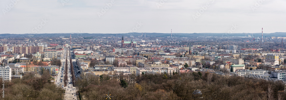 Obraz premium Panorama Częstochowy. Centrum miasta.