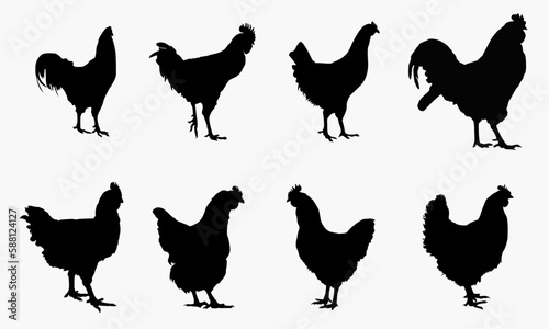 Canvastavla set of chicken silhouettes