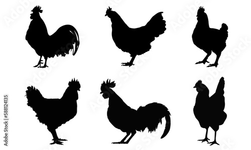 set of silhouettes of chiken & rooster