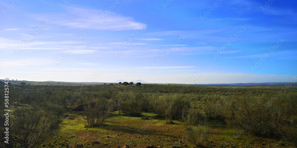 Fototapeta premium Weites grünes Land in Spanien