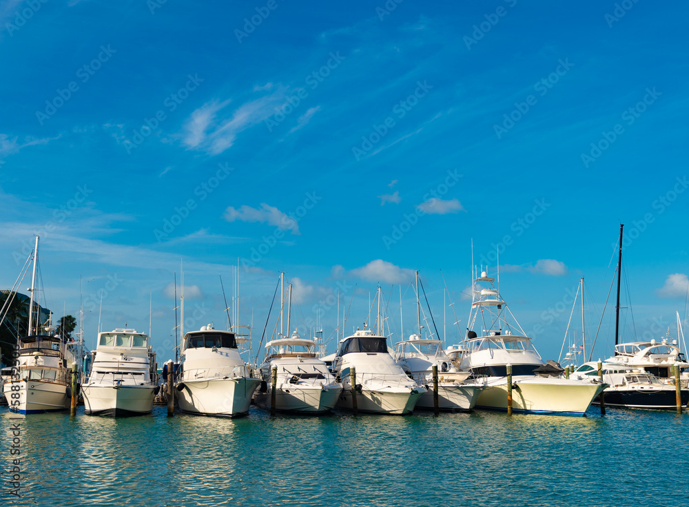 Fototapeta premium yacht row at seaside harbour. yacht at seaside harbour in summer. yacht at seaside harbour