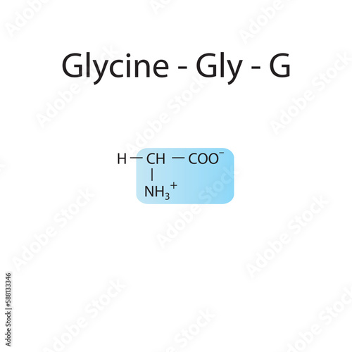 Glycine - Gly - G amino acid structure. Skeletal formula with amino group highlighted in  blue. Scientific illustration.