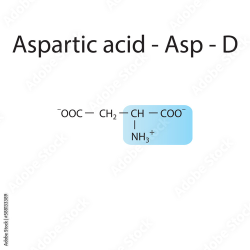 Aspartic acid - Asp - D amino acid structure. Skeletal formula with amino group highlighted in  blue. Scientific illustration.