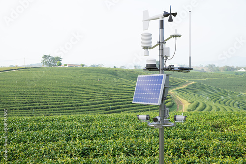 Weather station in green tea field, 5G technology with smart farming concept