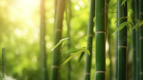 Fresh Bamboo Trees In Forest With Blurred Background. Generative AI