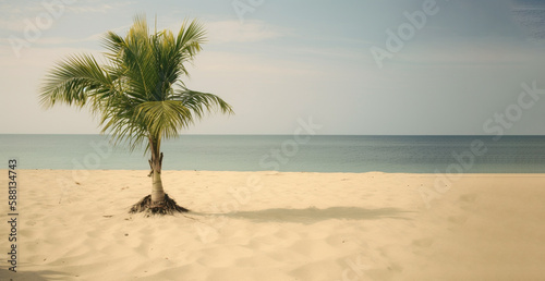 Tropical landscape of summer scenery  white sand with palm trees. Luxury travel vacation destination   Created using generative AI tools.