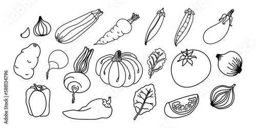 Hand drawn vegetable outlines, perfect for coloring pages in children's books or educational materials. The set of vector icons adds versatility and customization options for a range of projects.