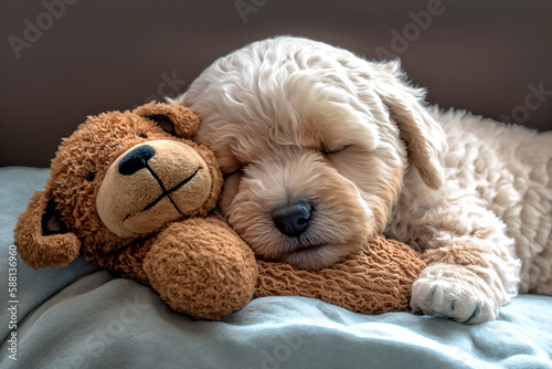 Cute Maltipoo Puppy Sleeping with His Teddy Bear - Ai Generative