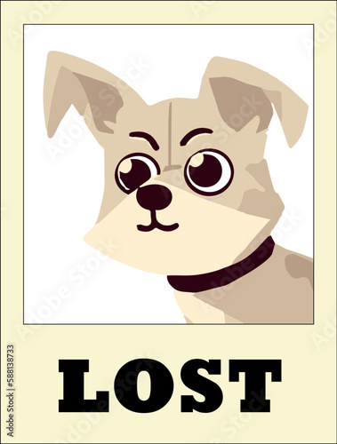 Lost pet dog poster with the picture of cute dog isolate on white background. Lost dog wanted, vector image.