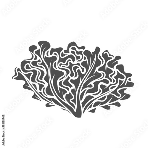 Oak leaf lettuce glyph icon vector illustration. Stamp of leafy vegetable for cooking salad from farm garden, summer greens of rosette shape, organic fresh lettuce plant and edible healthy herb