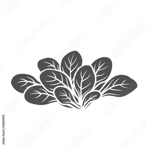 Corn salad lettuce glyph icon vector illustration. Stamp of cornsalad leaf branch and fresh leafy vegetable, leaves of feldsalat from summer garden for cooking salad in vegetarian natural diet