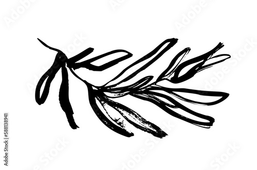 Abstract rosemary branch vector illustration. Hand drawn rosemary branch isolated on white background. Organic wild herb sketch. Vector botanical element. Rustic style twig drawn with brush.