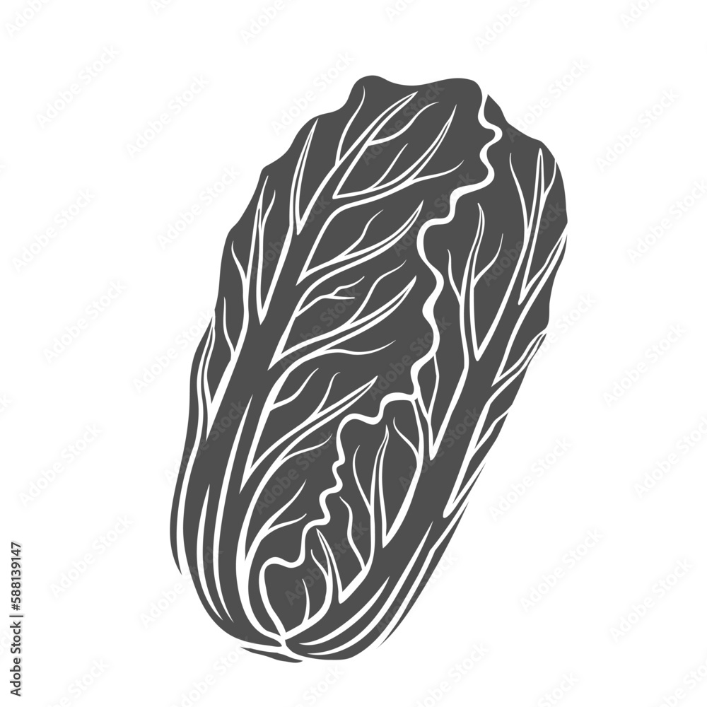 Chinese cabbage glyph icon vector illustration. Stamp of leaf vegetable