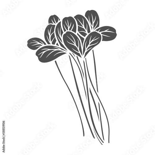 Pea shoots micro greens glyph icon vector illustration. Stamp of leafy vegetable, leaves of baby plant in bunch, healthy grass and pea sprouts for fresh vegetarian salad from agriculture garden