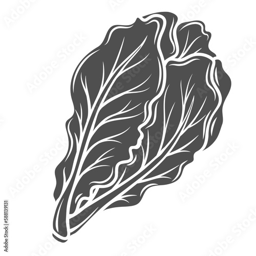 Romaine lettuce glyph icon vector illustration. Stamp of greens leaf bunch for Caesar salad, lettuce leaves and leafy vegetable for cooking vegetarian soup, natural product of farm greengrocer