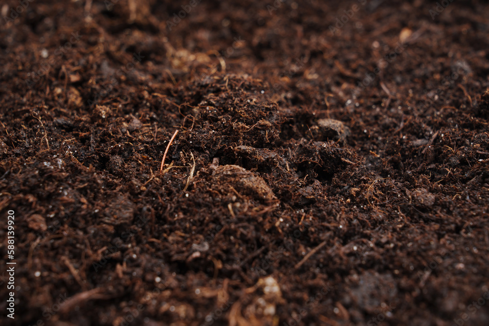 fertile soil for planting and growing plants. 