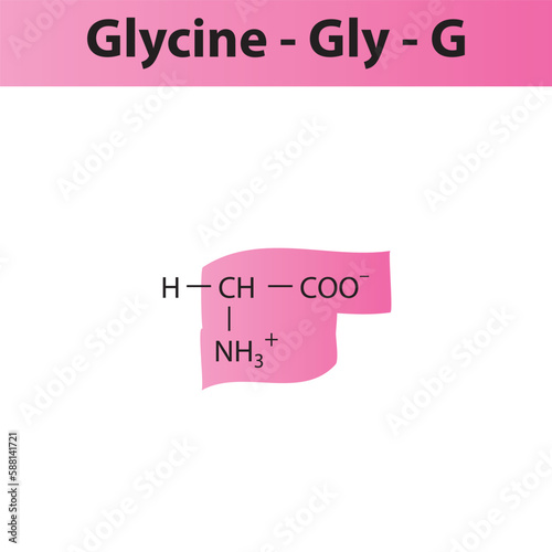 Glycine - Gly - G amino acid structure. Skeletal formula with amino group highlighted in  pink marker. Scientific illustration.