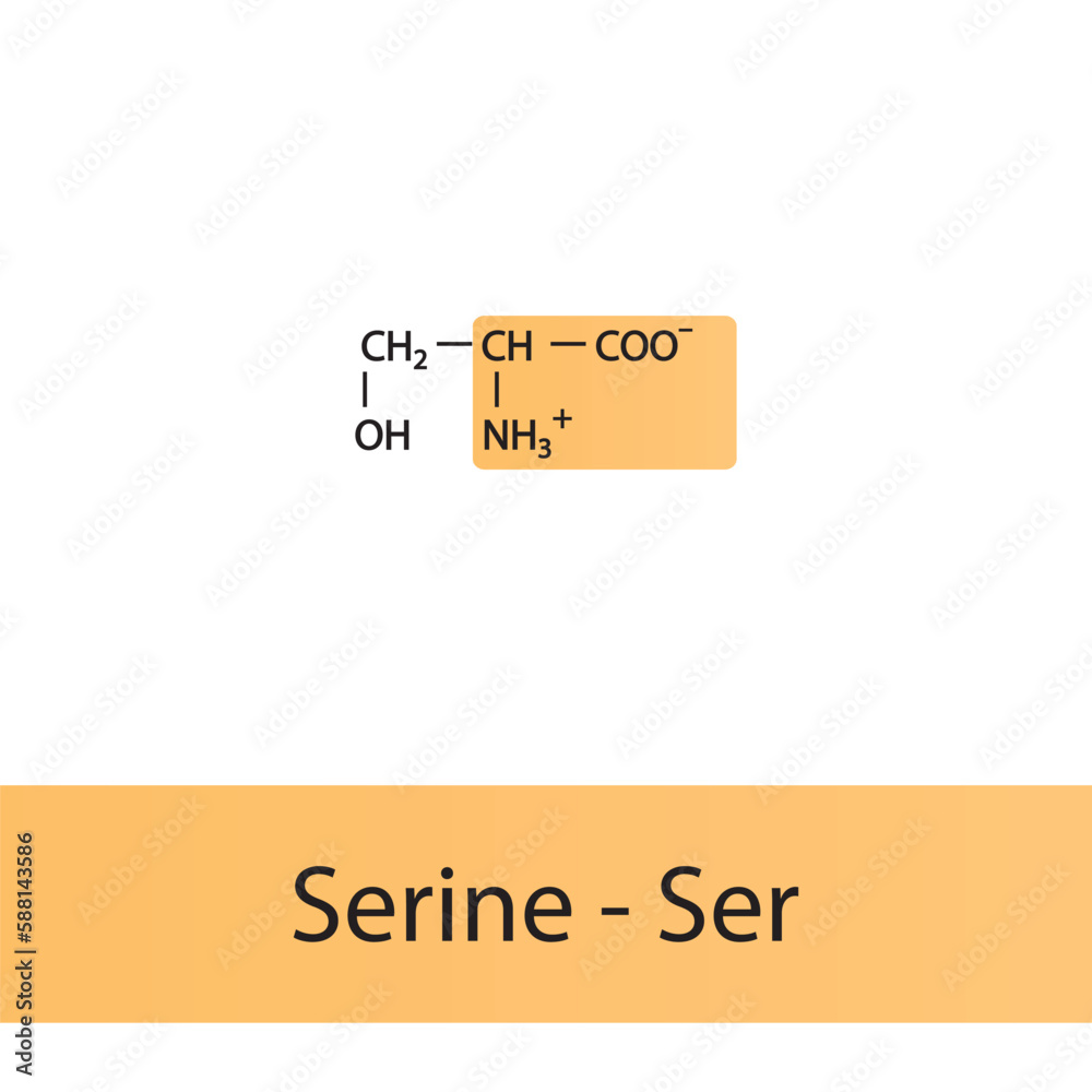 Serine Ser S amino acid structure. Skeletal formula with amino