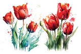 Red Tulip Watercolor 3