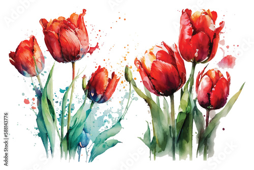 Red Tulip Watercolor 3