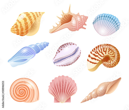 Set of illustrations of sea shells of different kinds in delicate shades