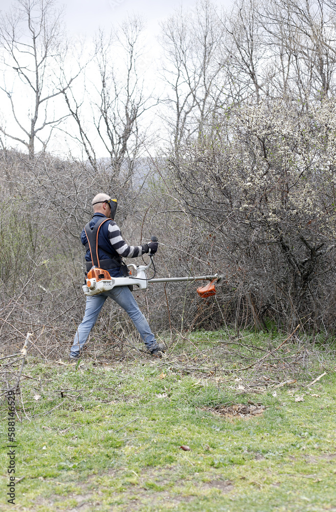 desbroce de malas hierbas y zarzas