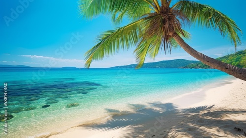 Tropical beach with palm tree © Jolanda