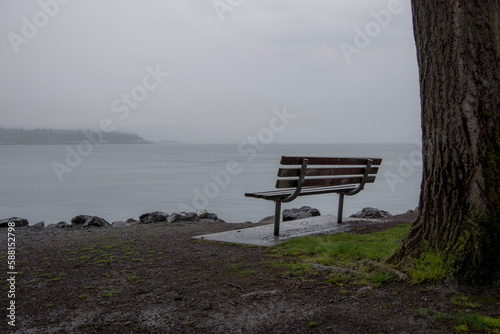 bench in the fog