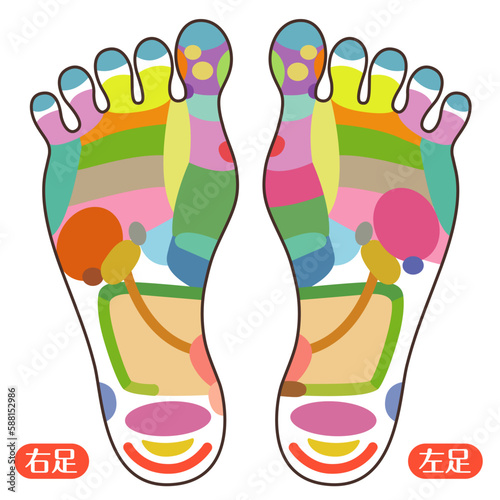 Foot reflexology chart illustration