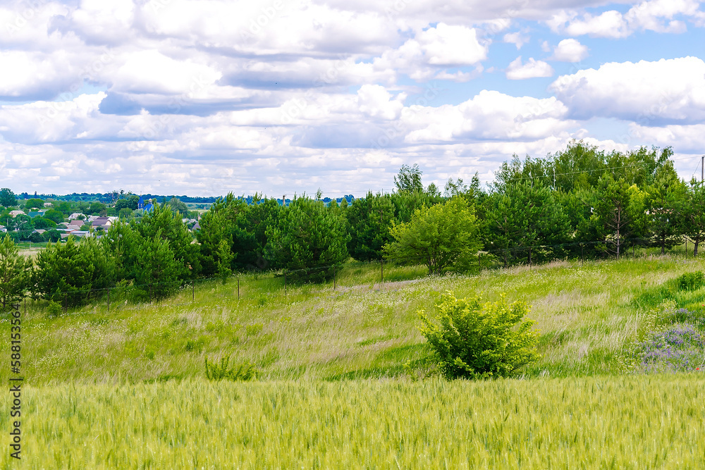countryside village surrounded agricultural field,grass, old houses, nature summer spring landscape
