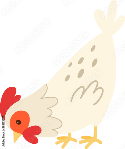 Chicken Domestic fowl