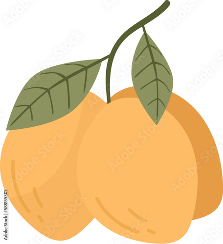 Lemon Citrus Fruits On Branch