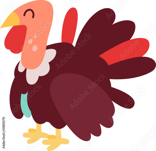 Turkey farm bird