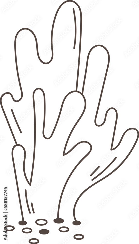 Fototapeta premium Corals Sea Plant