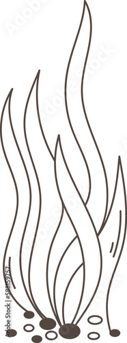 Seaweed Plant Lined