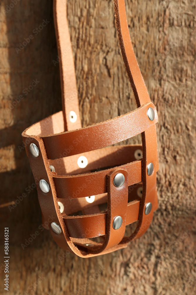 Brown dog muzzle hanging near wooden fence, closeup