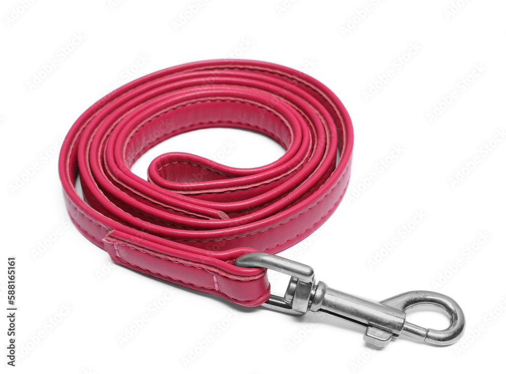 Fototapeta premium Red leather dog leash isolated on white