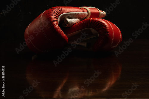 The Power of Two: A Romantic Pair of Boxing Gloves