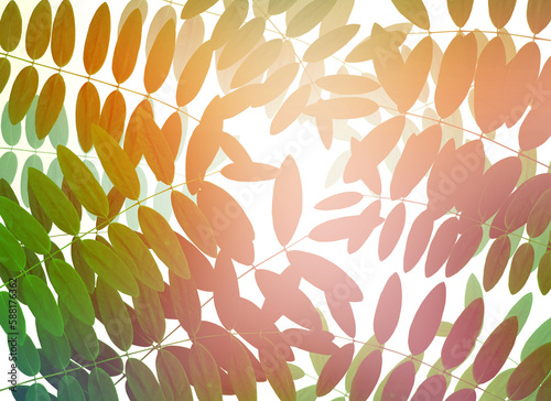green leaf, white color background. Decorate for ad, poster, template print, artwork