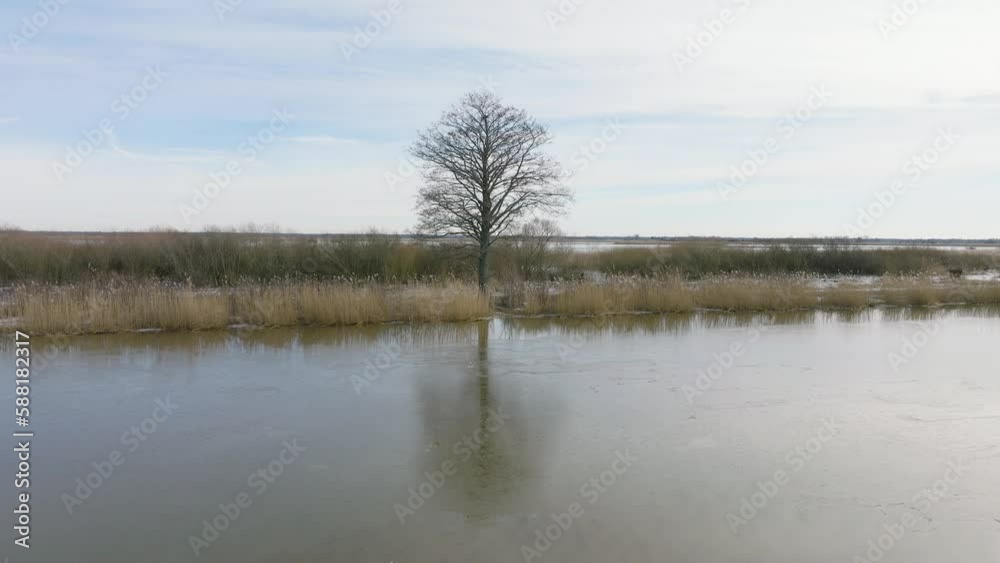 Aerial establishing view of high water in springtime, Barta river (Latvia), brown and muddy water, light ice particles, wide drone shot moving forward Aerial establishing view of high water in springtime, Barta river (Latvia), brown and muddy water, light ice particles, wide drone shot moving forward