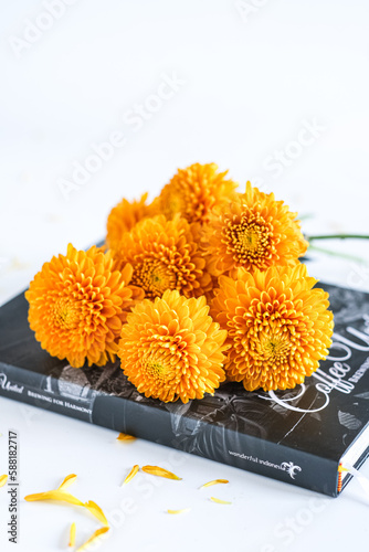 still life,yellow chrysanthemun on a book
 photo