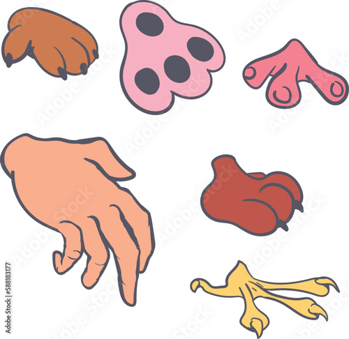 A set of several animal paws and a human hand.