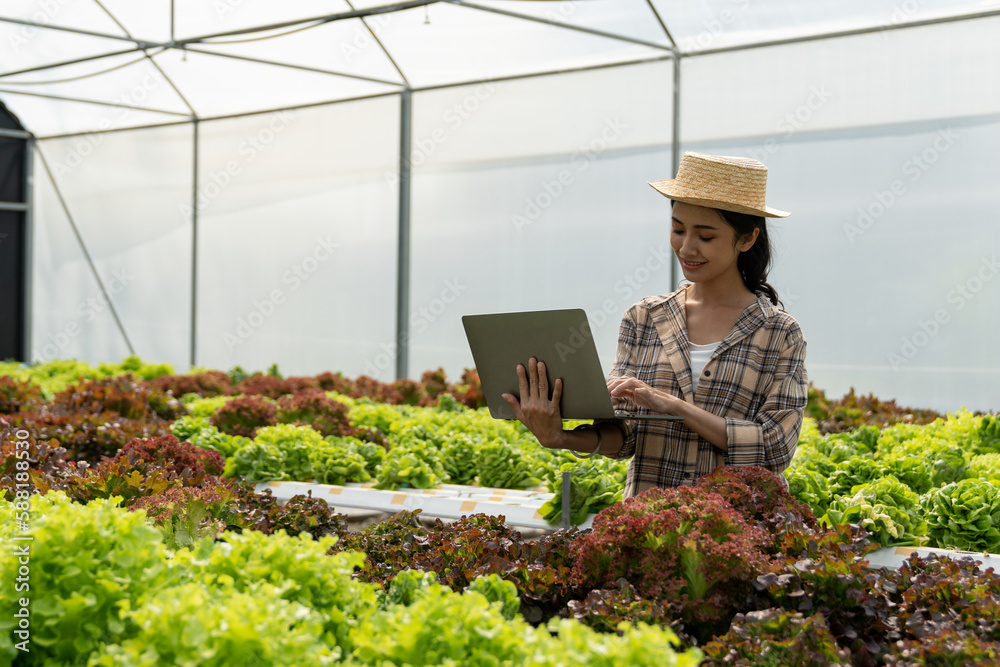 Asian woman, female farmer gathering information Results and monitoring of the hydroponic vegetable garden to record on their own farm laptop. startup business ideas.