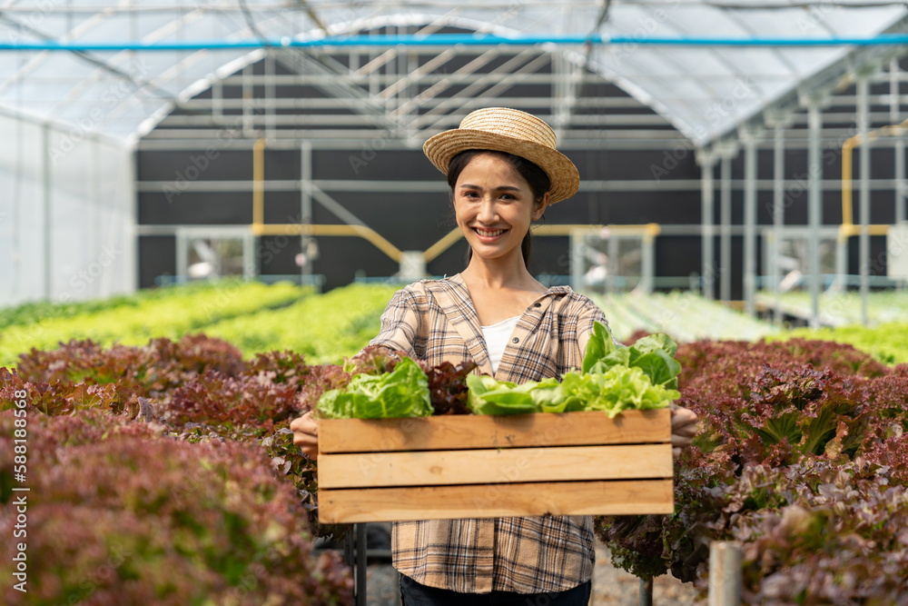 Obraz premium Basket of fresh vegetables, Asian farm woman holding wooden box full of raw vegetables, organic at local farm by harvest Quality selection for health and distribution agribusiness ideas.
