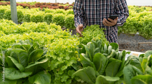 Young Asian farmers use their mobile phones to contact customers and take photos to upload online. Quality vegetables in a hydroponic farm ,Organic vegetables, green earth concept, agriculture.