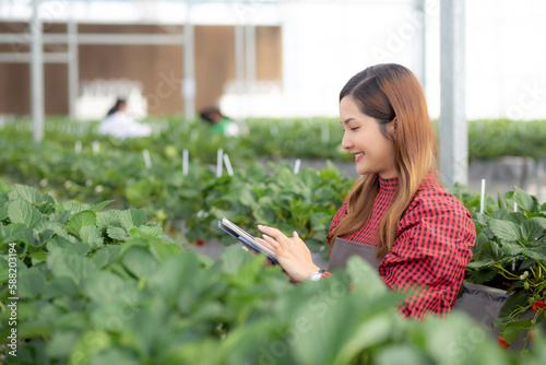 Entrepreneur young asian woman check cultivation strawberry with happiness for research with digital tablet in farm greenhouse, female examining strawberry with agriculture, small business concept.